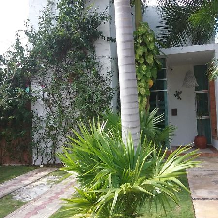Bed and Breakfast Casa Rioja Playacar Плая-дель-Кармен Экстерьер фото